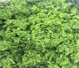 Saka-Saka apprêté. Sachet de 1kg