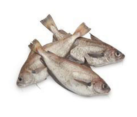 Poisson Barbillon [frais]. 1kg