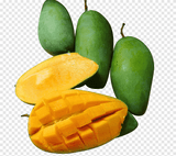 Mangue. Tas