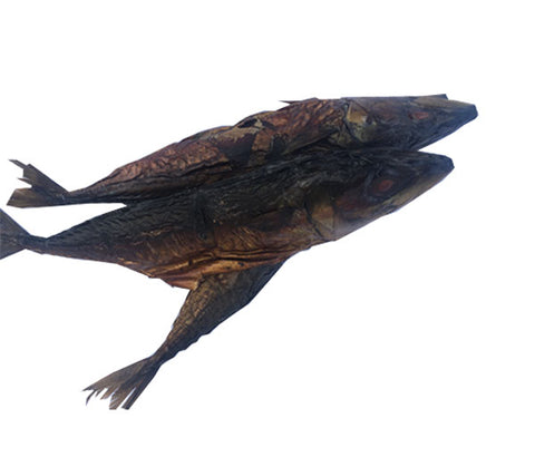 Mackerel poisson [séché]. Tas